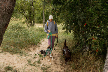 person walks two dogs on a path in a forest or park. canine are on leashes, and the woman is...