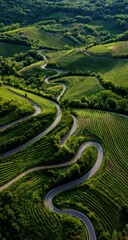 Winding roads through lush vineyards