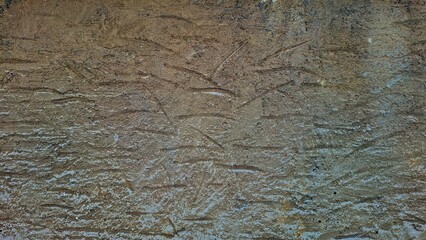 Ancient Rock Art Symbols Carved on Stone Surface Historical Significance Exploration