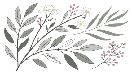 minimalist gray botanical elements watercolor leaves foliage neutral design isolated on white background.