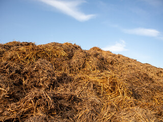 Bountiful Earth Beneath a Clear Blue Sky Showcases a Pile of Straw and Manure in a Rural Landscape