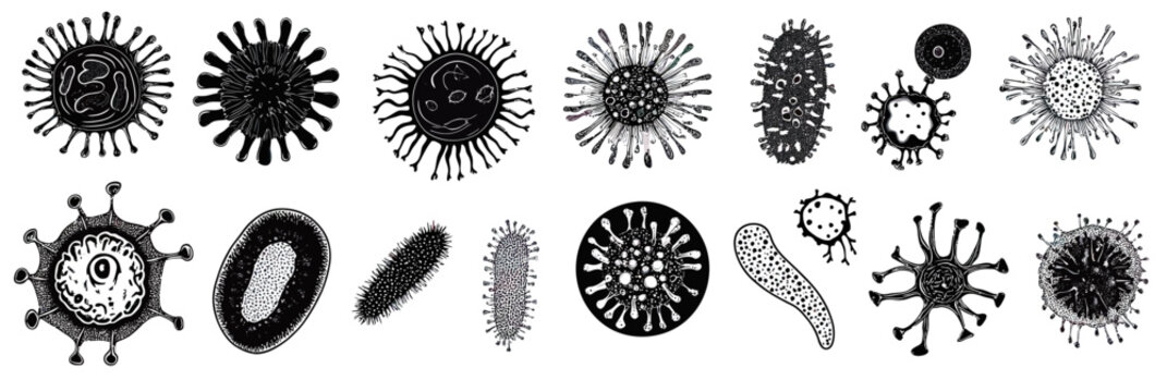 Set of black and white vector illustrations of diverse bacteria and virus microorganisms with unique shapes and structures in flat minimalist style