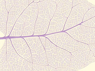 Intricate Purple Leaf Vein Pattern Abstract Art