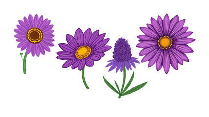 Fototapeta premium Vibrant purple aster flowers bloom with delicate petals and sunny yellow centers, bringing natural beauty to any project