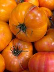 close-up of yellow tomatoes at an organic producer
