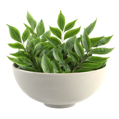 Realistic 3D Curry Leaves PNG – Fresh Herb in Ceramic Bowl, Isolated Transparent Background on White Background