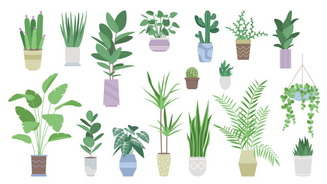 Green plants for house decoration set vector illustration. Cartoon flowerpots and vases with palm trees and tropical succulent plants, hanging planter and pot stands, modern houseplants collection