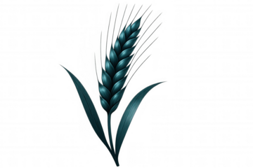 Wheat ear isolated against transparent backdrop, representing agricultural harvest, crop production, grain processing