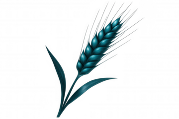 Teal wheat stalk isolated, representing agricultural abundance and nutritional wellness