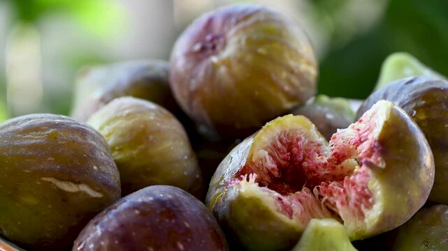 A bowl full of fresh delicious figs. Ripe figs. Summer fruit.