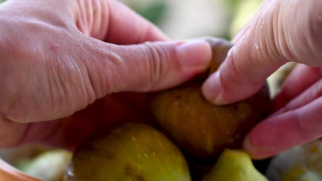 A bowl full of fresh delicious figs. Ripe figs. Summer fruit.