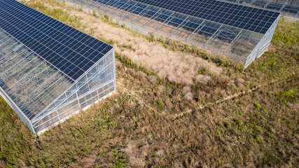 Aerial view of modern solar greenhouses with photovoltaic panels on roofs, renewable energy and...