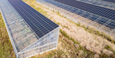Aerial view of modern solar greenhouses with photovoltaic panels on roofs, renewable energy and...