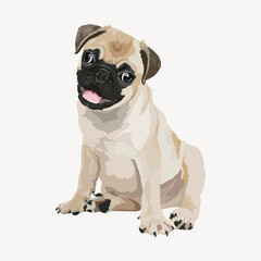 Obraz premium Pug puppy, illustration clipart