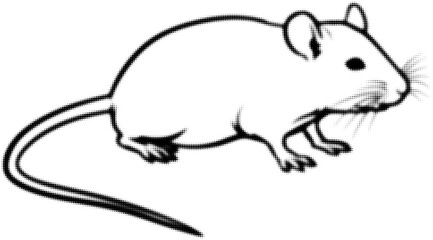 Obraz premium Black and white illustration of a mouse facing right with a long tail. Vector illustration