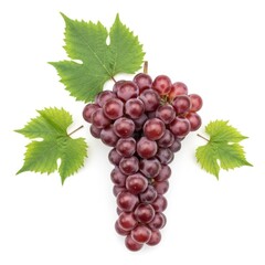 Fototapeta premium Bunch of red grapes with green leaves isolated on white background