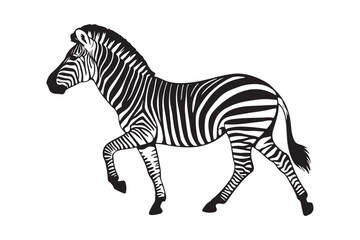 A stylized black and white illustration of a zebra