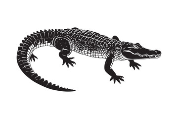 Detailed engraving of an alligator on a white background