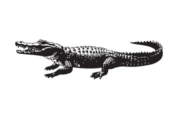 Fototapeta premium Vintage black and white illustration of an alligator