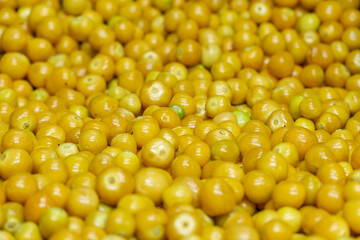 Close-up of peeled golden berries (physalis) freshly harvested and ready to eat.