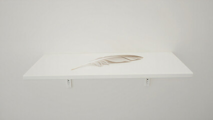 A white feather is displayed on a white shelf isolated on white background