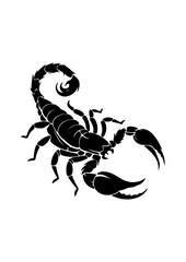 Silhouette of a Scorpion with Raised Claws and Curled Tail