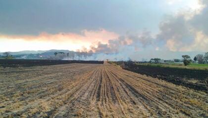 Obraz premium Scorched Field After Drought Fire