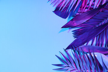 Different neon tropical leaves on blue background