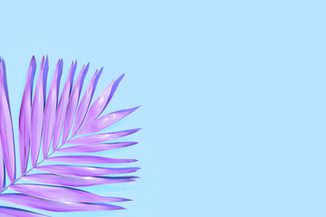 Neon tropical palm leaf on blue background