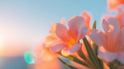 Colorful flowers bloom against a sunset sky in soft pastel hues