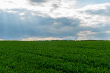 Lush green field under a cloudy sky with sunlight breaking through in the countryside during late afternoon