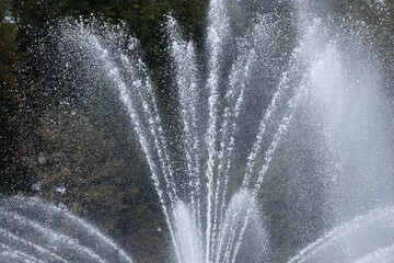 A tall, symmetrical water fountain sprays upward in a lake with a dense green forest as a backdrop.