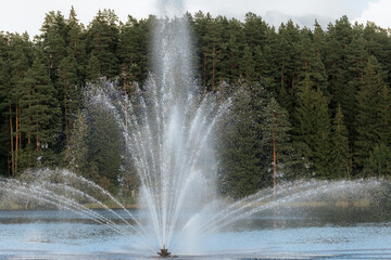 A tall, symmetrical water fountain sprays upward in a lake with a dense green forest as a backdrop.