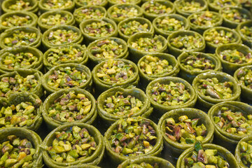 Close-up of rows of fresh pistachio baklava rolls: golden flaky phyllo dough wrapped around vibrant green pistachios, drizzled in syrup. Traditional Turkish dessert for gourmet food