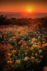 Sunrise from the top of Mount Alaric in the Aude. View from the top of a mountain in the South of...