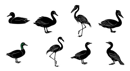 Fototapeta premium Diverse Avian Collection: Black Silhouettes of Aquatic Birds on White