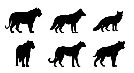 Obraz premium Animal Silhouettes Set: Tiger, Wolf, Fox, Panther, Cat, and Hyena