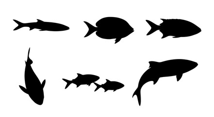 Assorted fish silhouettes on white background, featuring marine life imagery