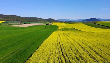 Obraz premium Vibrant Spring Fields Aerial View.