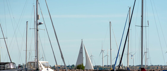 sailboats in the harbor