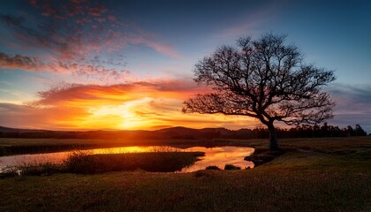 Fototapeta premium image depicts a tranquil and reflective atmosphere with a solitary tree outlined against vivid hues of a setting sun