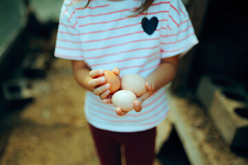 Little girl Holding Organic Eggs in a chicken Barn. Responsible child living the farm rustic life...