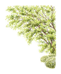 Obraz premium Watercolor tree with green leaves, bushes and branches isolated on white background. Hand drawn illustration sketch