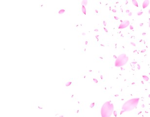 Pink petals falling with white background.
