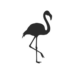 Fototapeta premium Silhouette of a flamingo standing on one leg