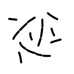 probiotic lactobacillus bacteria icon