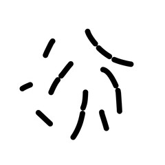 probiotic lactobacillus bacteria icon