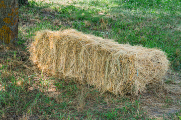 A rustic outdoor scene features two hay bales in a Central European village setting, with one...