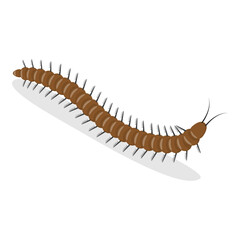 3D Isometric Flat Vector Set of Caterpillars And Worms, Biology and Education. Item 4