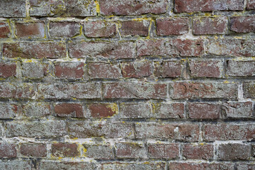 Alte Mauer aus roten Backsteinen